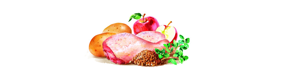 Корм сухий для собак Brit Fresh
