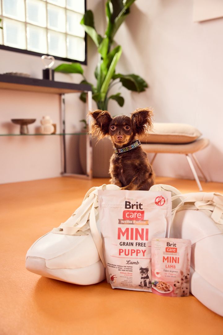 Brit Mini для щенков