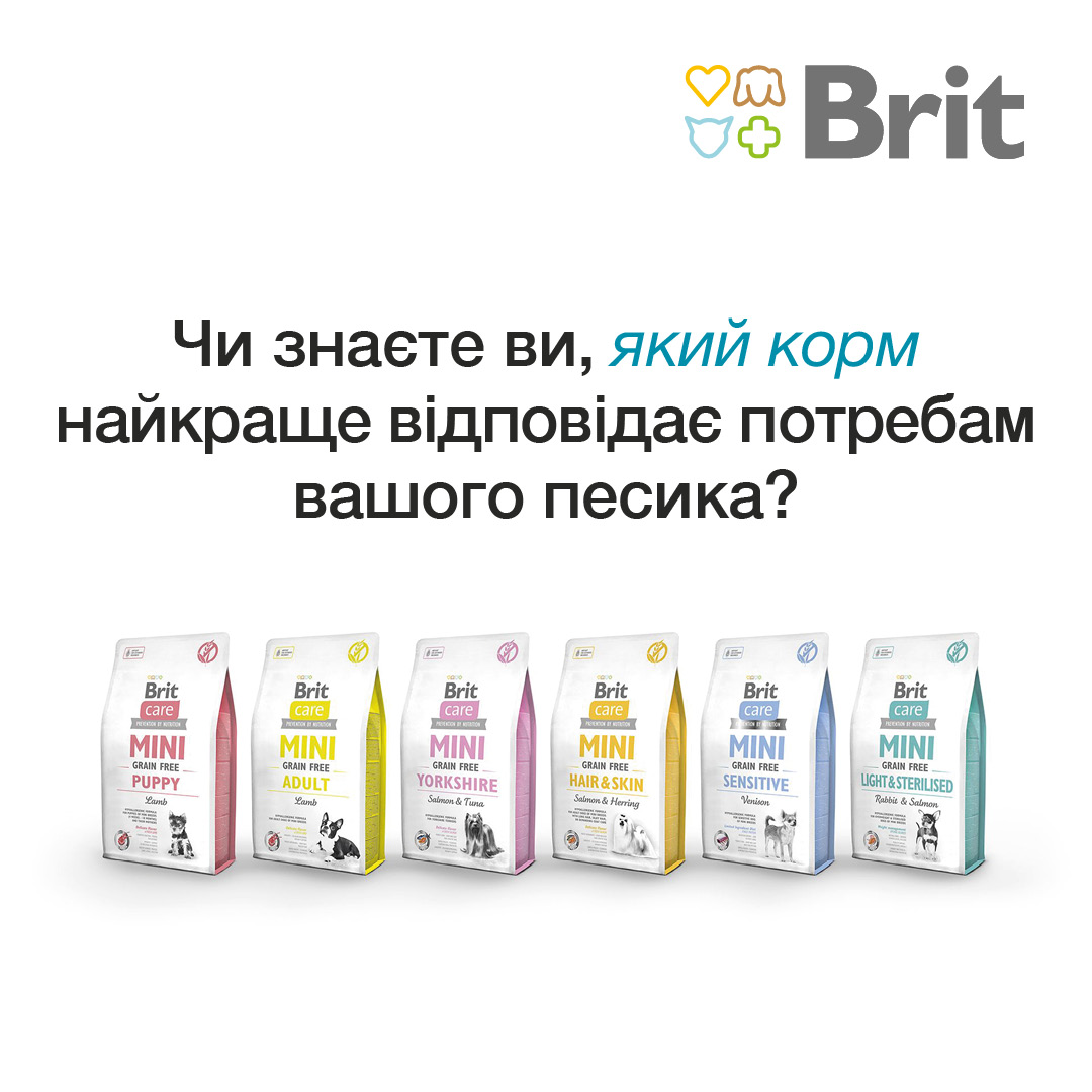 Корма для собак