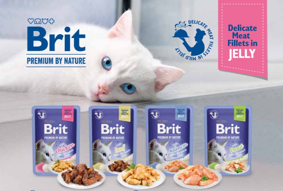 Паучи для кошек Brit Premium
