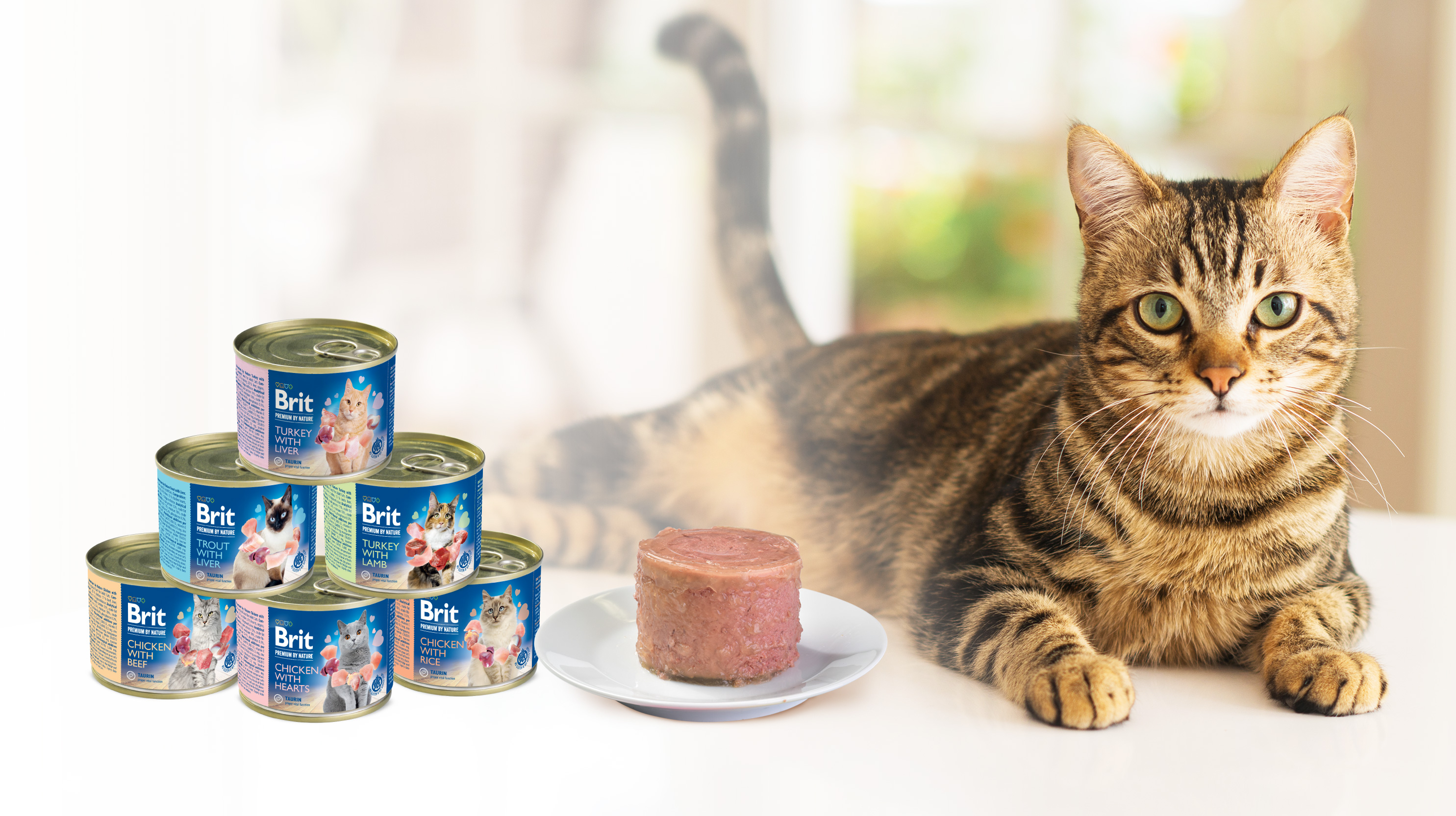 Консервы для кошек Brit Premium