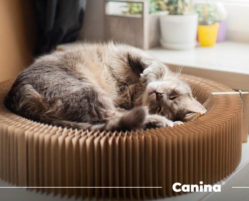 Вітаміни Canina