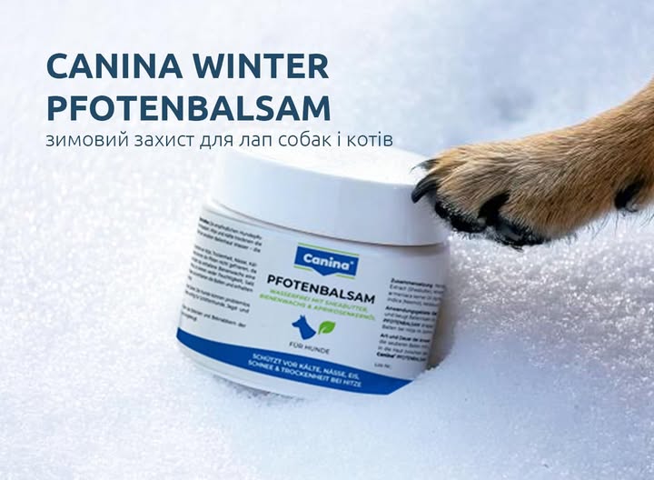Canina Winter Pfotenbalsam