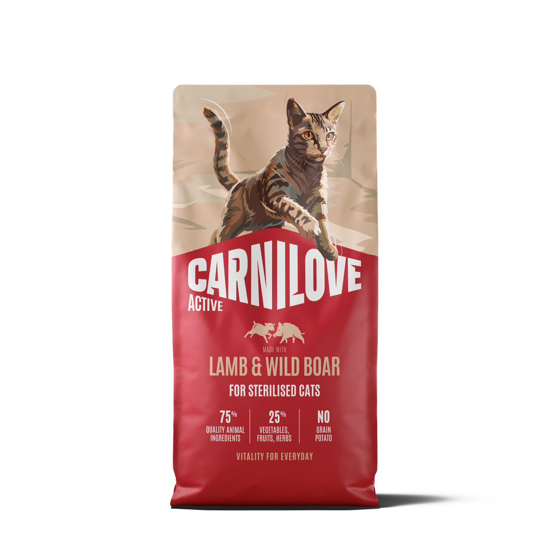 CarniloveNewEra