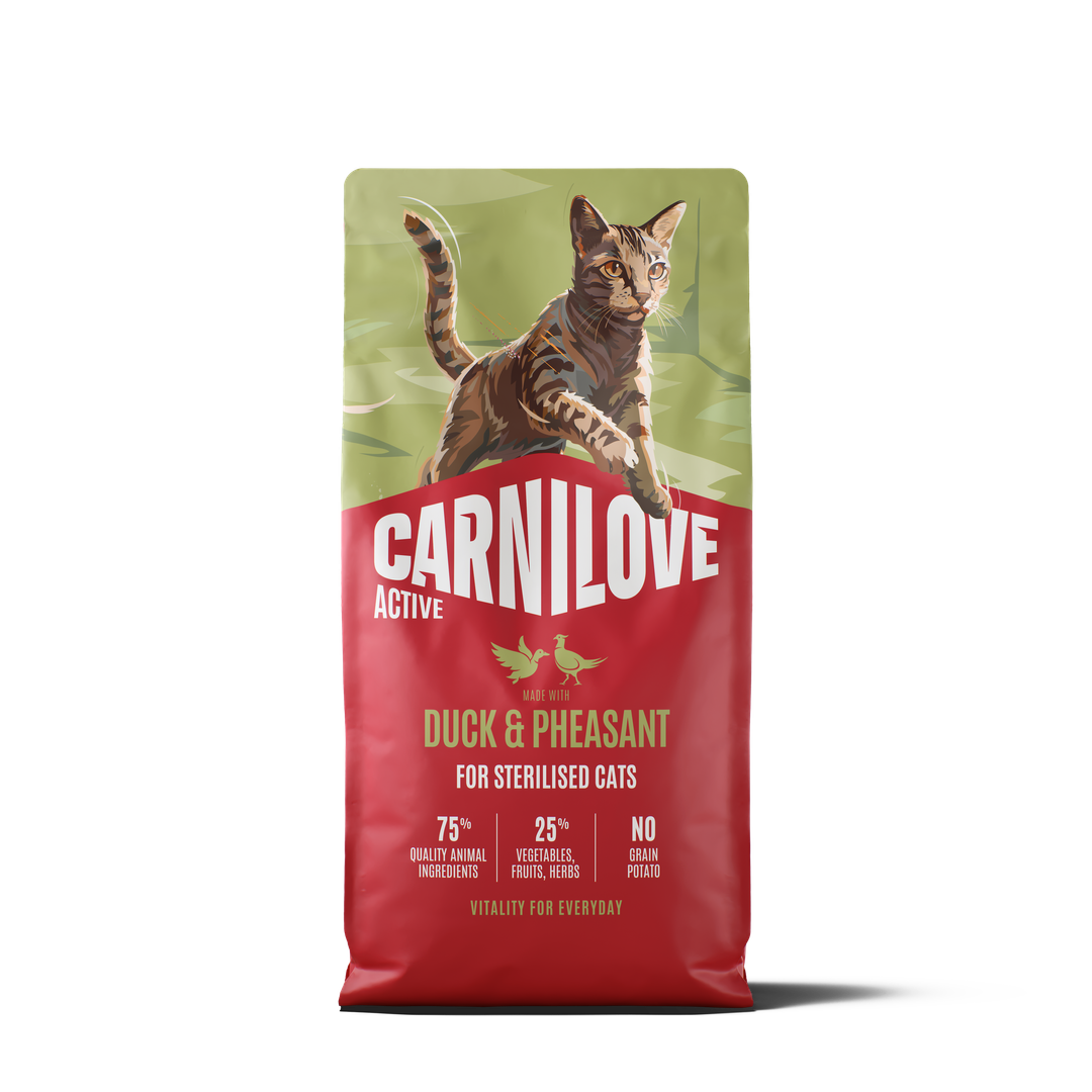 CarniloveNewEra