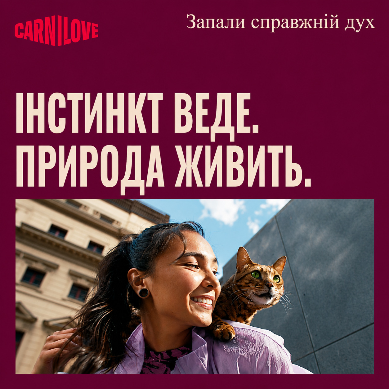 cats