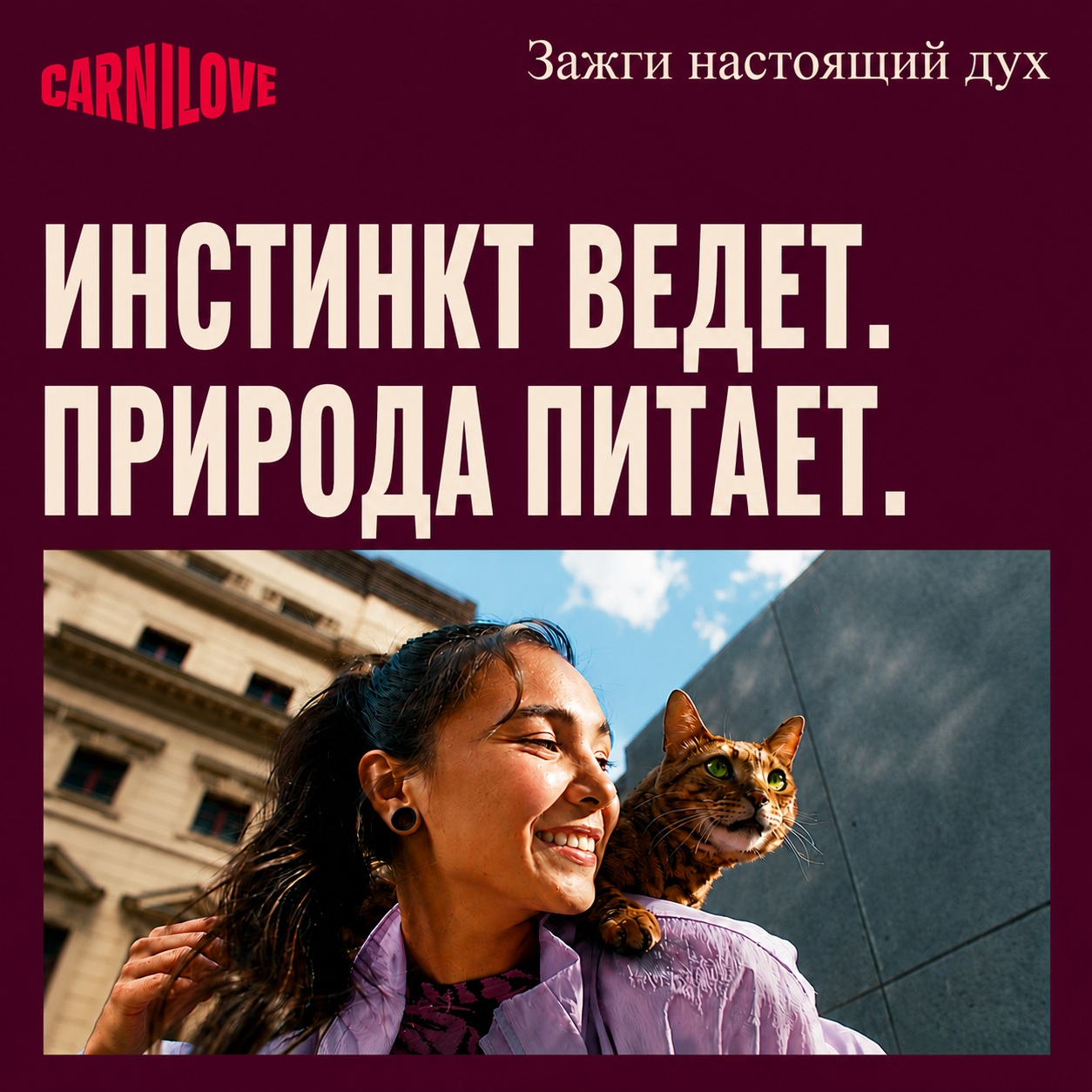 cats