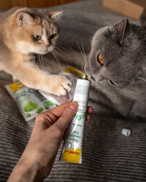 Пасты для кошек