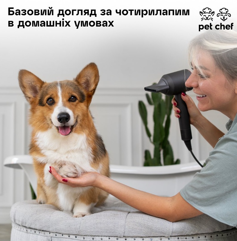 Влажный корм Pet Chef