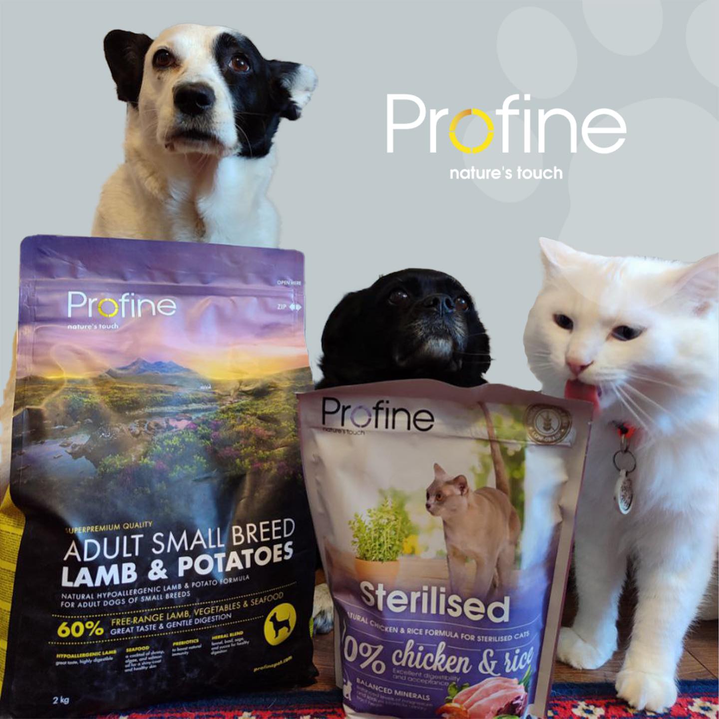 PROFINE