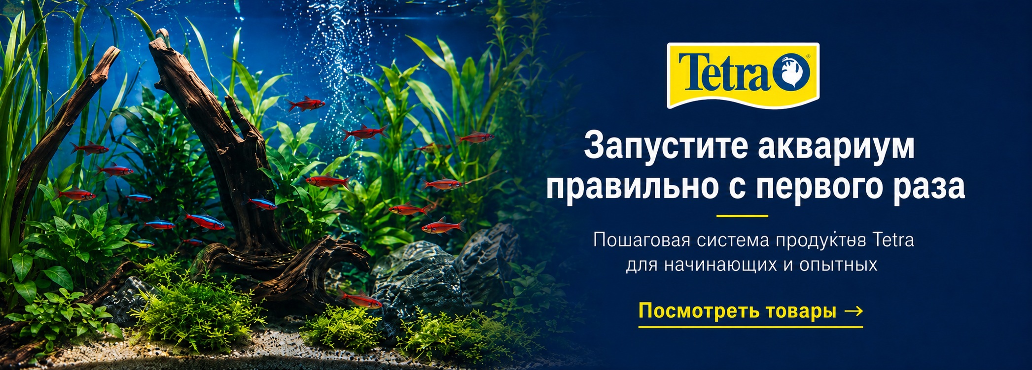 Запустите аквариум вместе с Tetra
