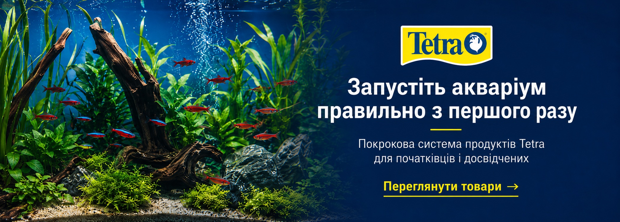 Запустіть акваріум разом з Tetra