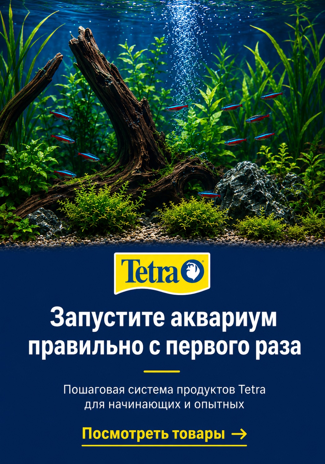 Запустите аквариум вместе с Tetra