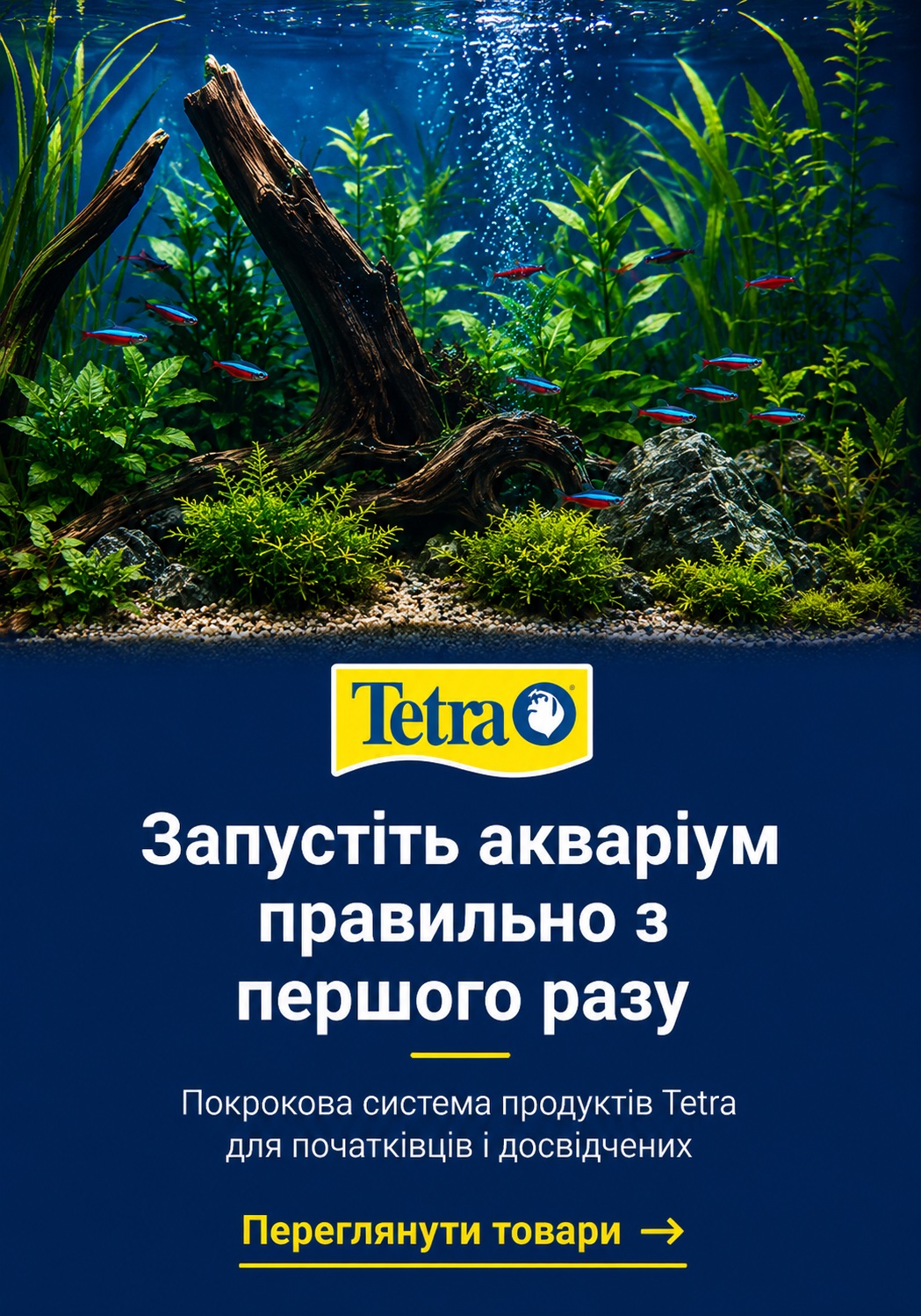 Запустіть акваріум разом з Tetra