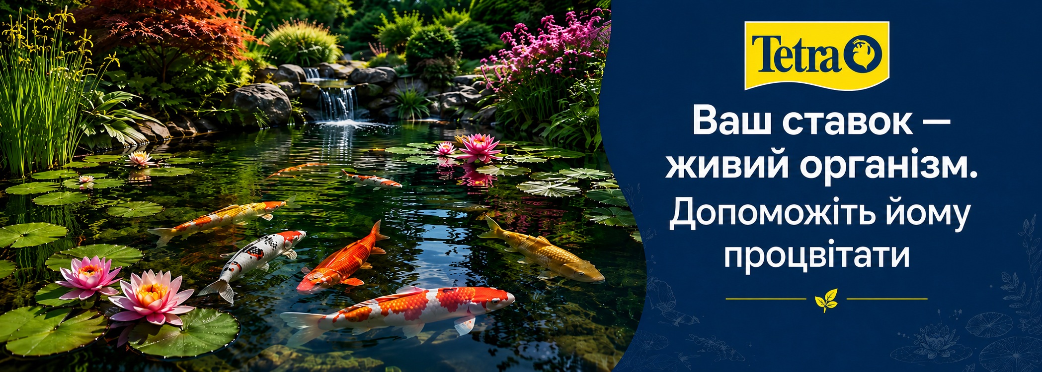 Tetra Pond — догляд за декоративним ставком
