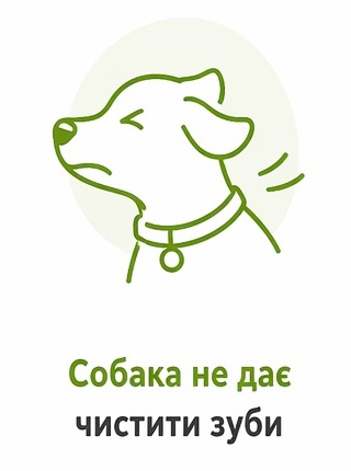 Собака не дає чистити зуби