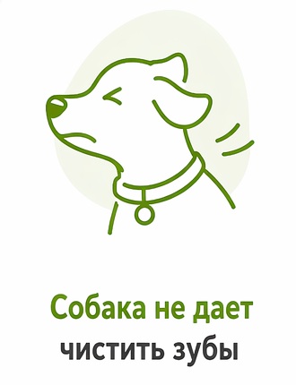 Собака не даёт чистить зубы