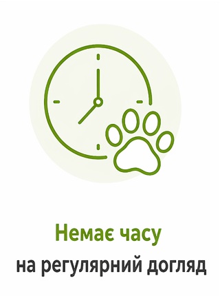 Немає часу на регулярний догляд