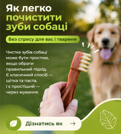 Купити ласощі WHIMZEES