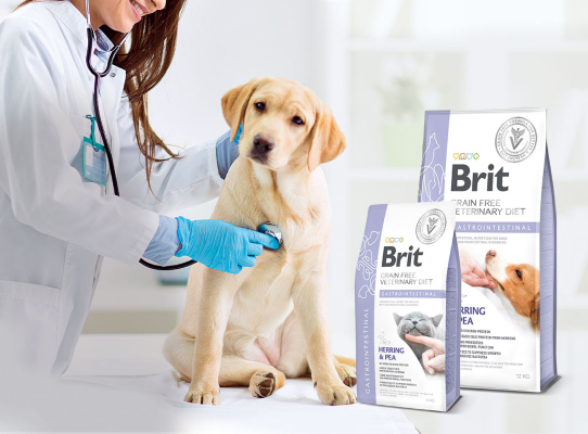 Brit VetDiet- ветиринарний корм