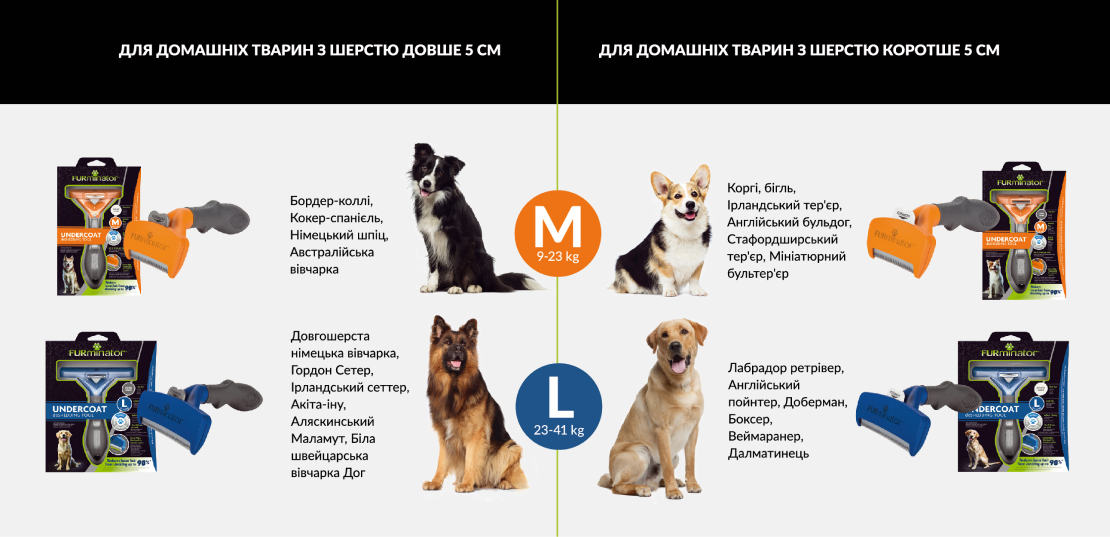 slide_02.jpg