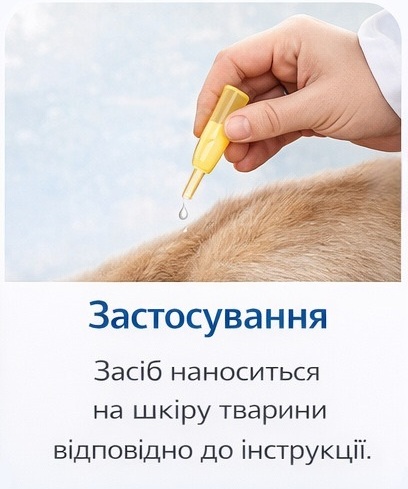 Step1