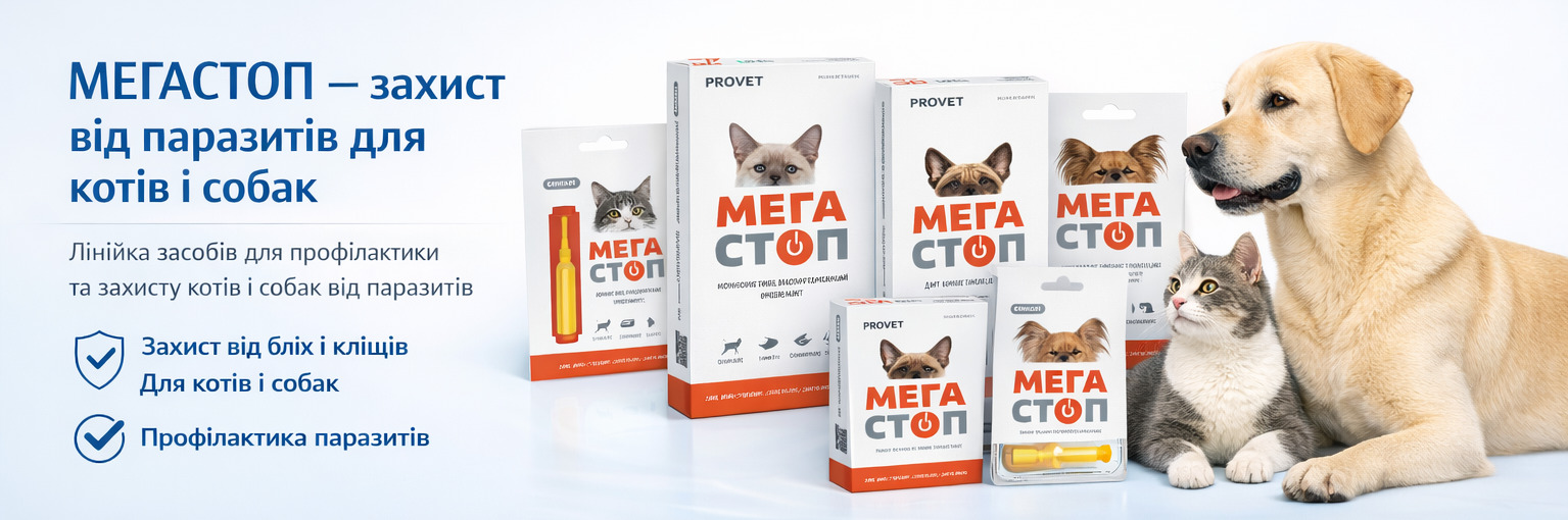 MegaStop