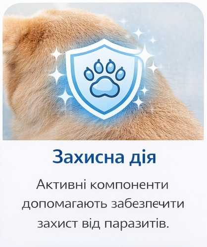Step2