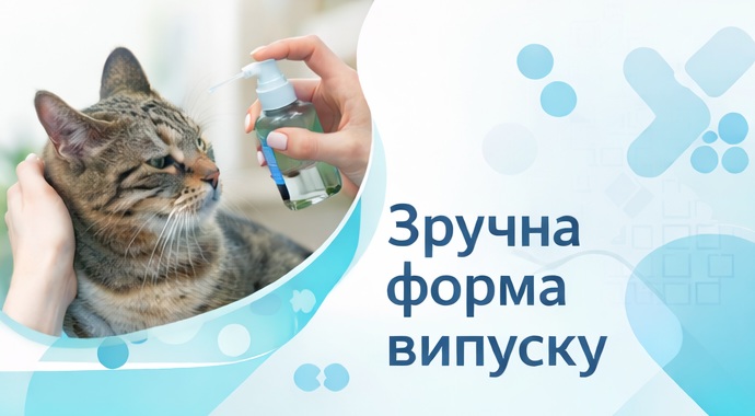 форма