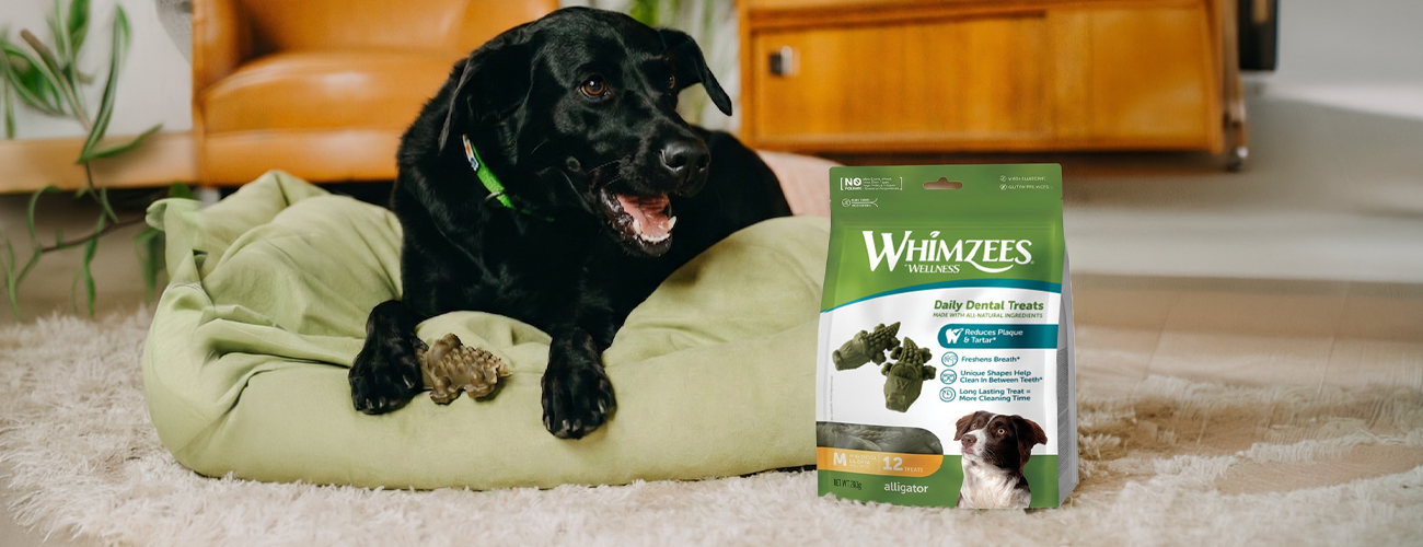 Простое решение сложной проблемы —стоматологические лакомства Whimzees